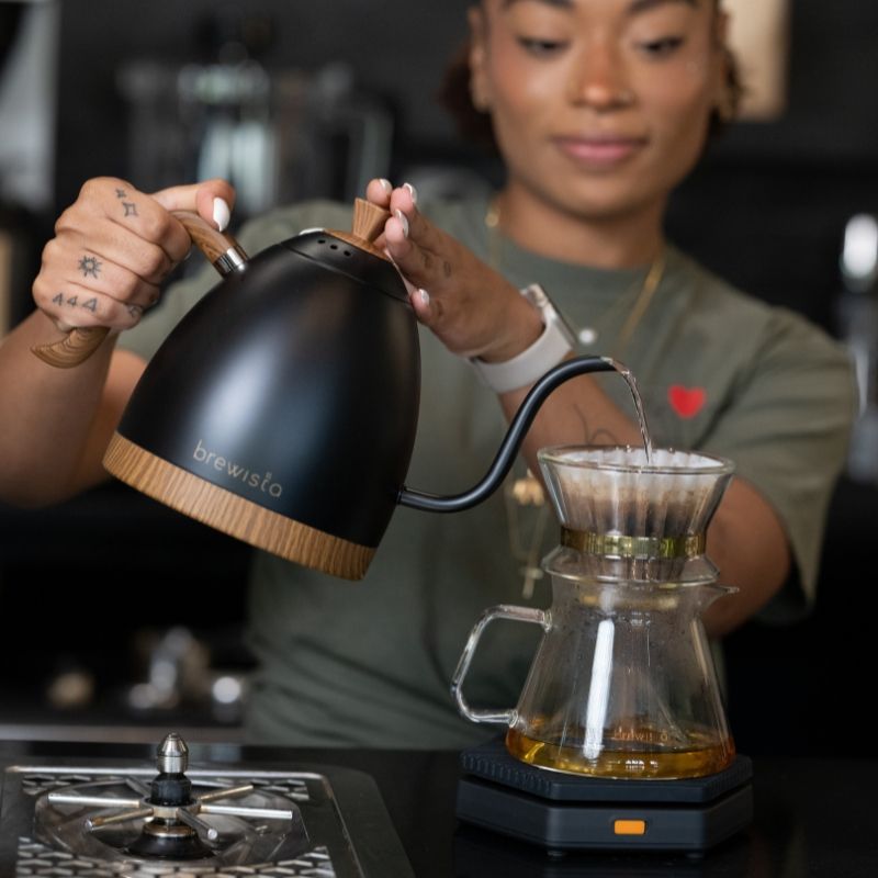 Brewista Artisan 1.0L Kettle - Matte Black